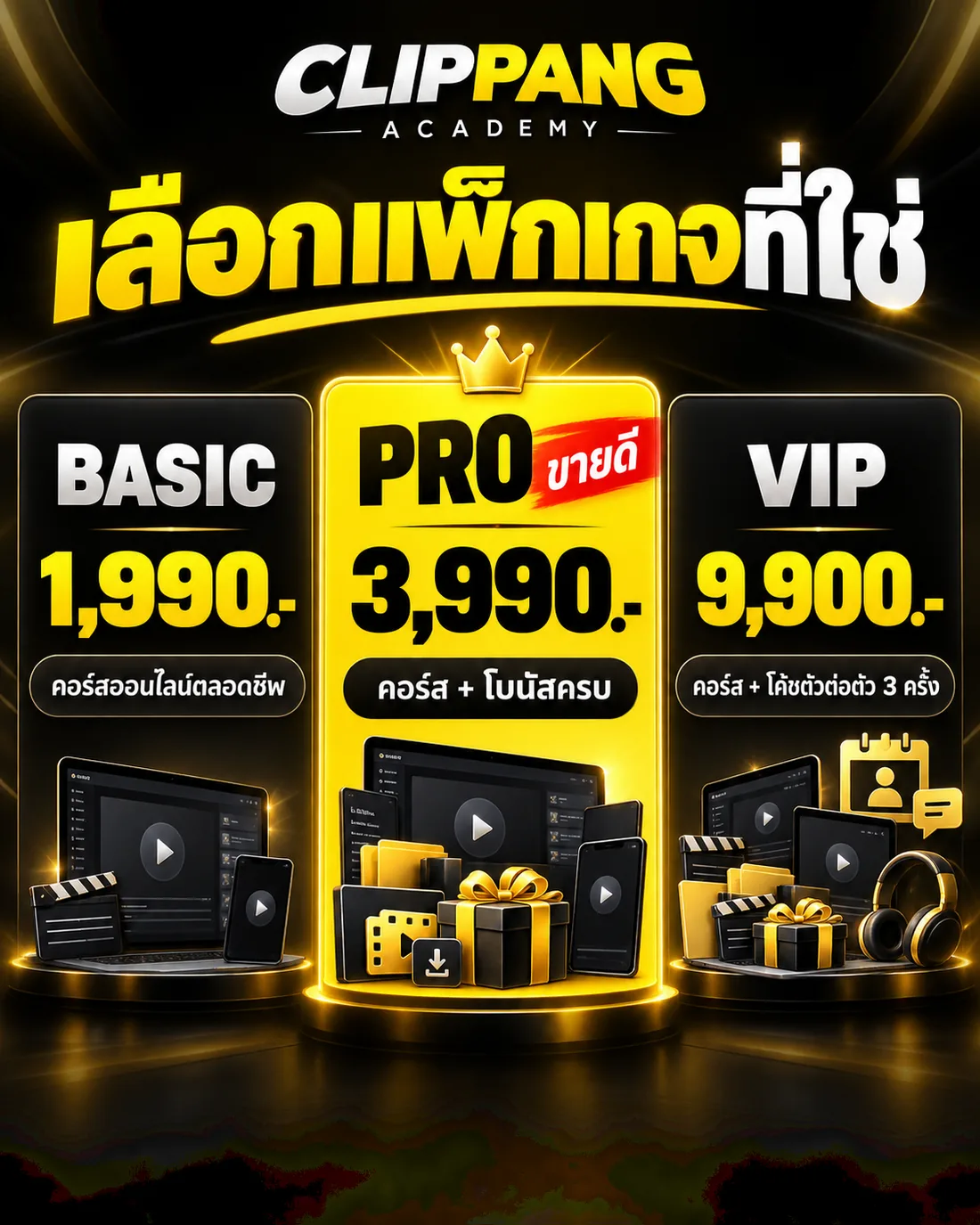 แพ็กเกจ BASIC 1,990 PRO 3,990 VIP 9,900 บาท